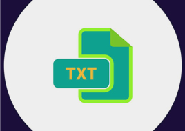 TXT文本接口 批量清单导入开票 无需手工录入