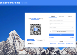 数电(全电)发票接口 快速导入清单 批量自动开票 智能赋码